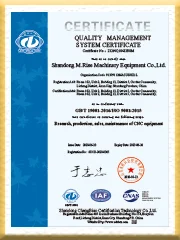M.Rise Certificate