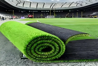 Article Grass